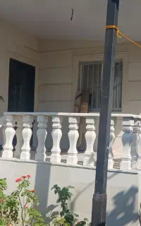 همکار ماهر و ساده کاشیکاری نیازمندم