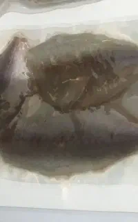 فروش ماهی تازه (بسته بندی و وکیوم شده )