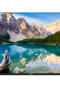 تلویزیون هوشمند اسنوا ۵۵