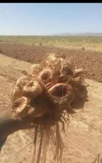 خریدوفروش