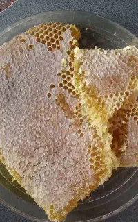 عسل طبیعی کوهستان زنجان