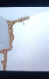 سمپاشی منازل علیه حشرات