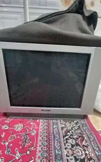 تلویزیون