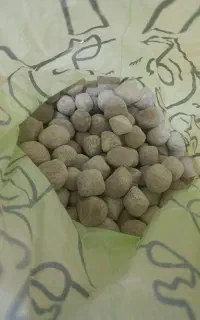 کشک گوسفندی