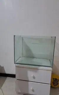 اکواریوم مفت