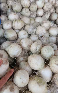 کارگر شب