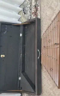 سنتور میرعماد بروجردی سالم فوری فوری