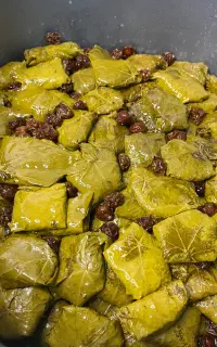 دلمه برگ مو