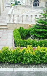 شرکت مهندسی فضای سبز لتکا