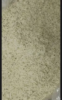 فروش برنج دمسیاه