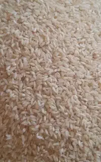 فروش برنج و عدس