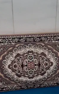 6 عددپشتی گردویی در حد نو