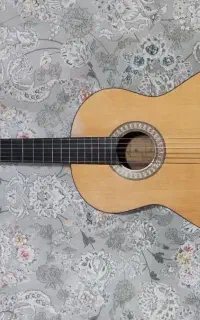 گیتار پارسی مدل M2