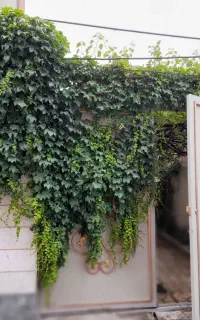 فروش خانه ویلایی