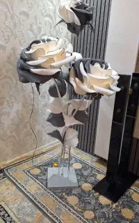 زیبا