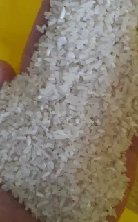 برنج با چک برای خانواده ده ها  وزن کم