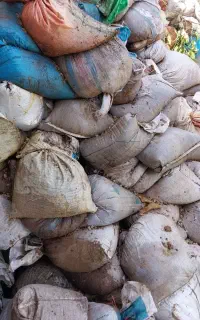 کود گاو ( استخرماهی. بیجار.باغ گلخانه)