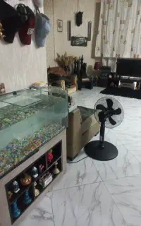 آکواریوم با کلیه لوازم ۲کوسه ۲اسکار