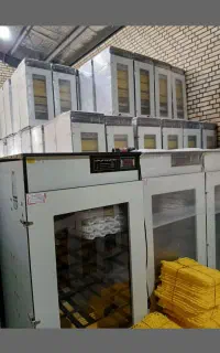 دستگاه جوجه‌کشی با طراحی مقاوم و سبک۹۰۹۰۹۰