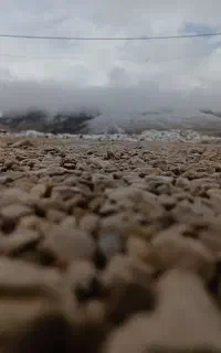 سیمکارت جفت