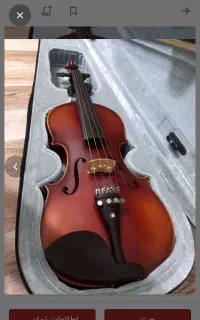 ویولن حرفه ای
