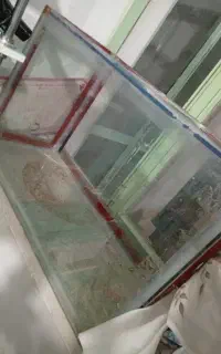 اکواریوم نو