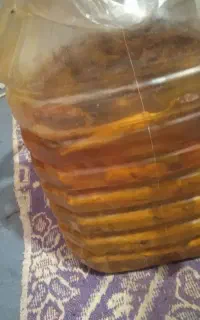 سلام ترشی مخلوط خانگی استانه،بوشهر خورموج