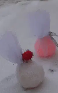 شمع