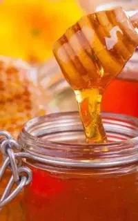 عسل طبیعی سه فصل ۲۵ کیلو یکجا