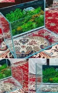 آکواریوم شیشه خم