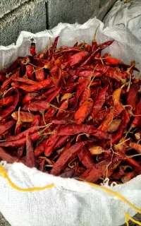 خوراکی