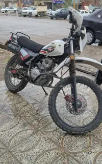 دایچی ۲۰۰ فقط نقد