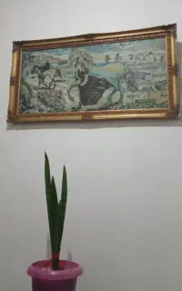 تابلو فرش