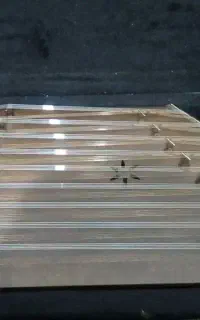 سنتورسیروس رضوانی