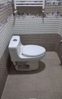 توالت فرنگی