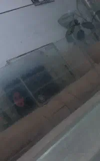 آکواریوم