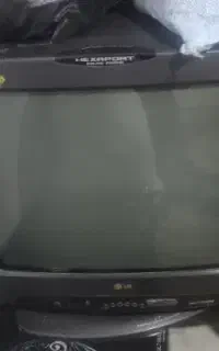 تلوزیون