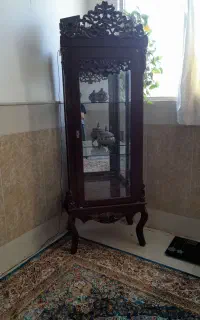 ویترین