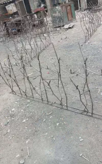 حفاظ دیوار چیست