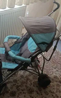 کالسکه عصایی