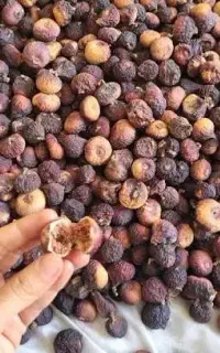 انجیر جهت آبگیری و چرخ کردن