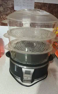 بخارپزدرحدنو