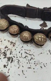 زنگوله