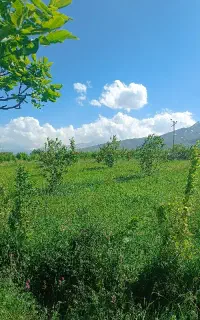 طبیعت گردی