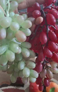 میوه تزئینی