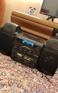 ظبط