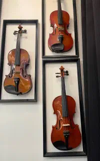 انواع ویولن آموزشی و حرفه ای