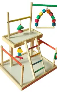 پرنده