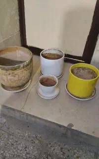 4عدد گلدان