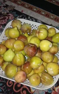 انجیر تازه کیلویی۳۰۰